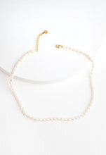 Load image into Gallery viewer, Freshwater Pearl Choker